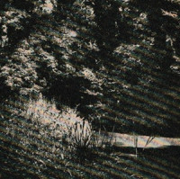 Z historie 1960: Pralesové rezervace v ČSSR